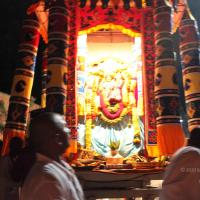 20101119_Photo_1074_IMG_8251 - Copy_CMP_WM